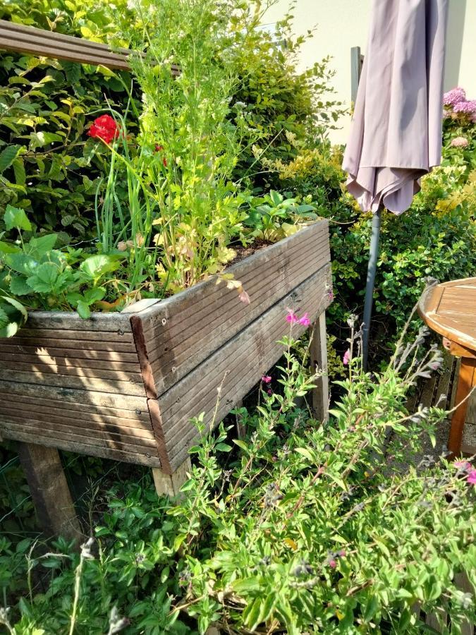 Mer A Pied Vrai Lit Linge Fourni Jardin Brétignolles-sur-Mer Eksteriør bilde